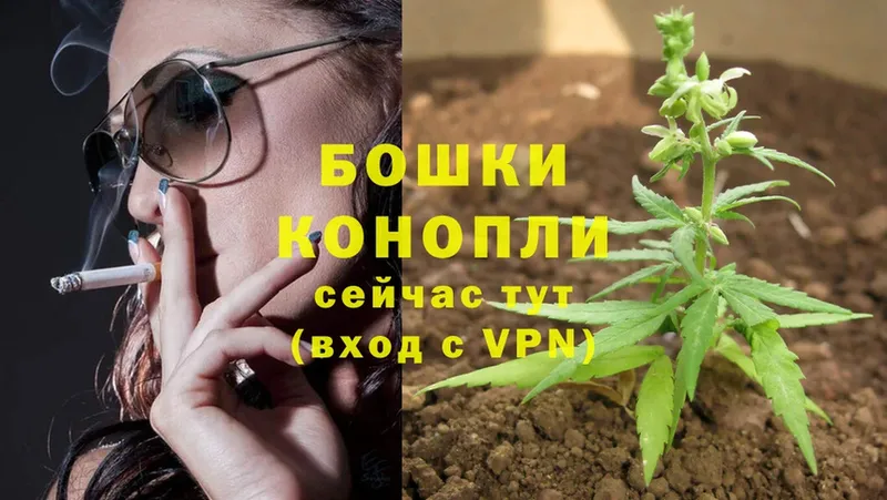 магазин продажи   Курлово  Шишки марихуана Bruce Banner 